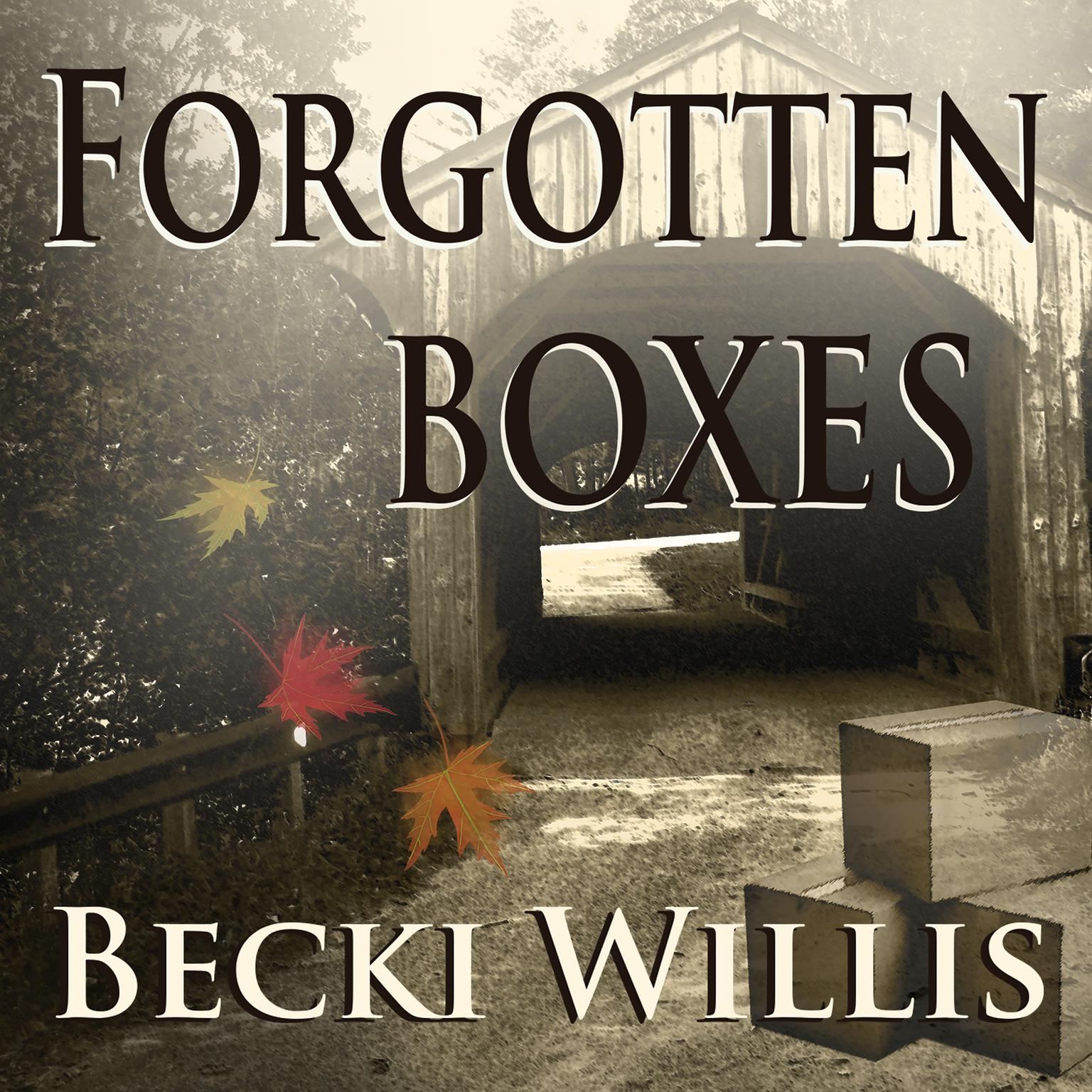 Forgotten Boxes Audiobook, by Becki Willis