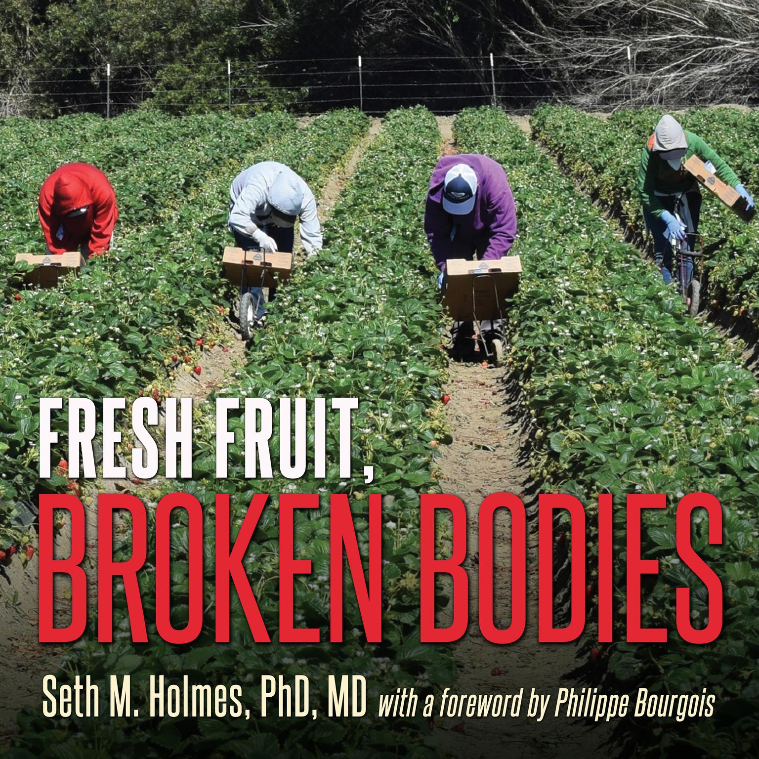 Fresh Fruit, Broken Bodies: Migrant Farmworkers in the United States Audiobook, by Seth Holmes