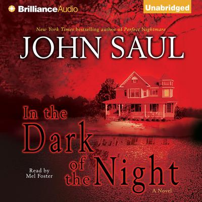 In the Dark of the Night Audiobook, by John Saul