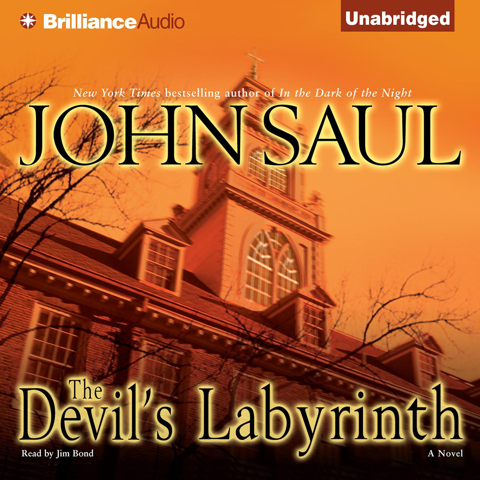 The Devils Labyrinth: A Novel Audiobook, by John Saul
