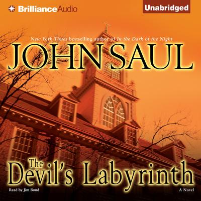 The Devil's Labyrinth: A Novel Audiobook, by John Saul