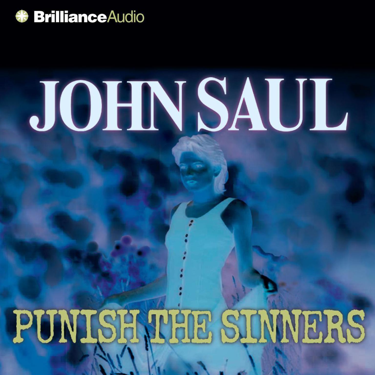 Punish the Sinners (Abridged): A Novel Audiobook, by John Saul