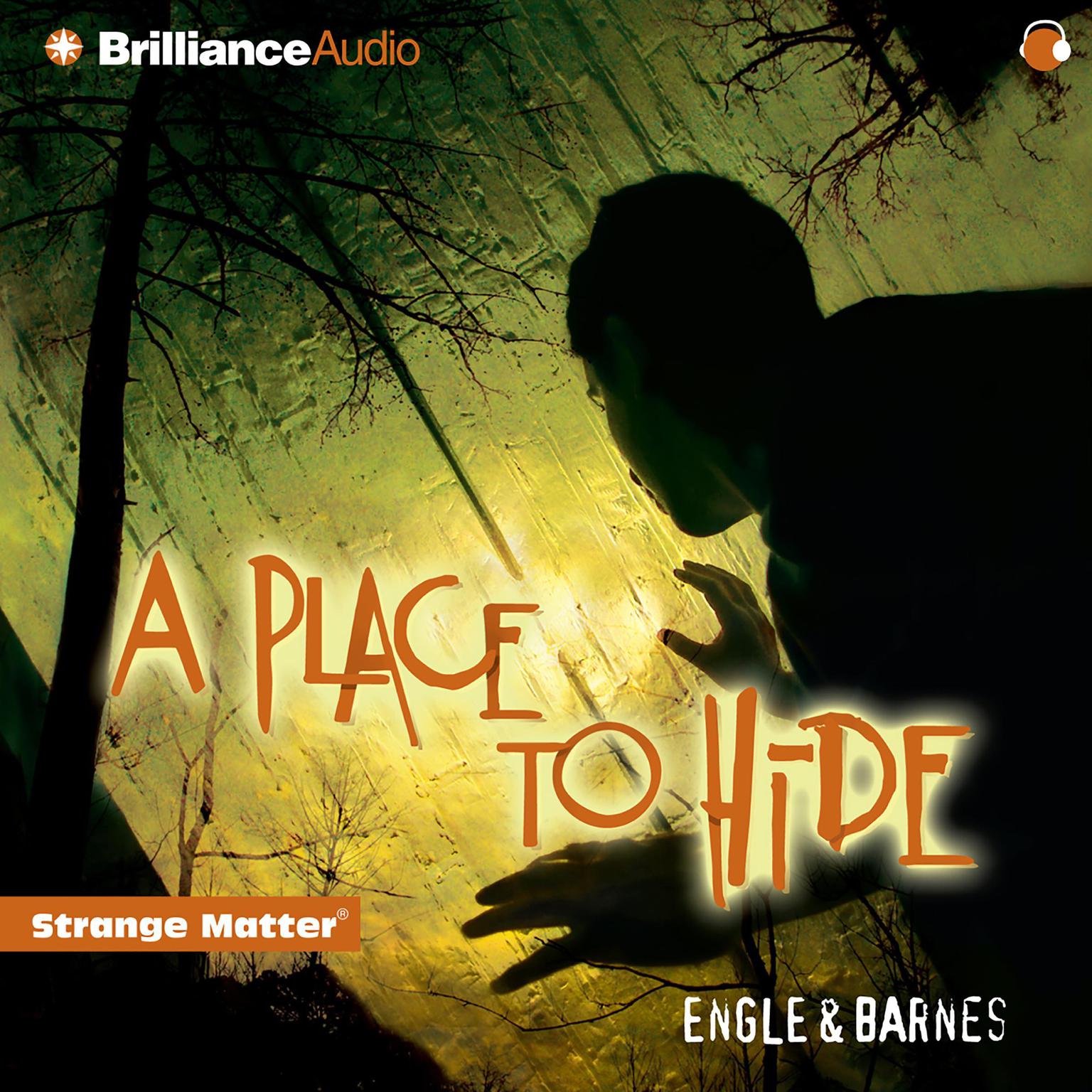 A Place to Hide (Abridged) Audiobook, by Engle 
