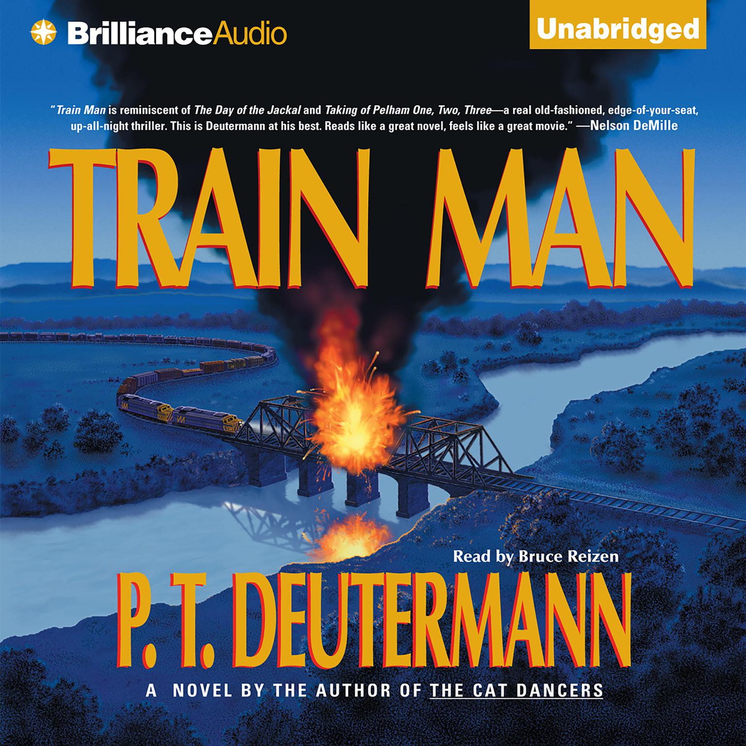 Train Man Audiobook, by P. T. Deutermann