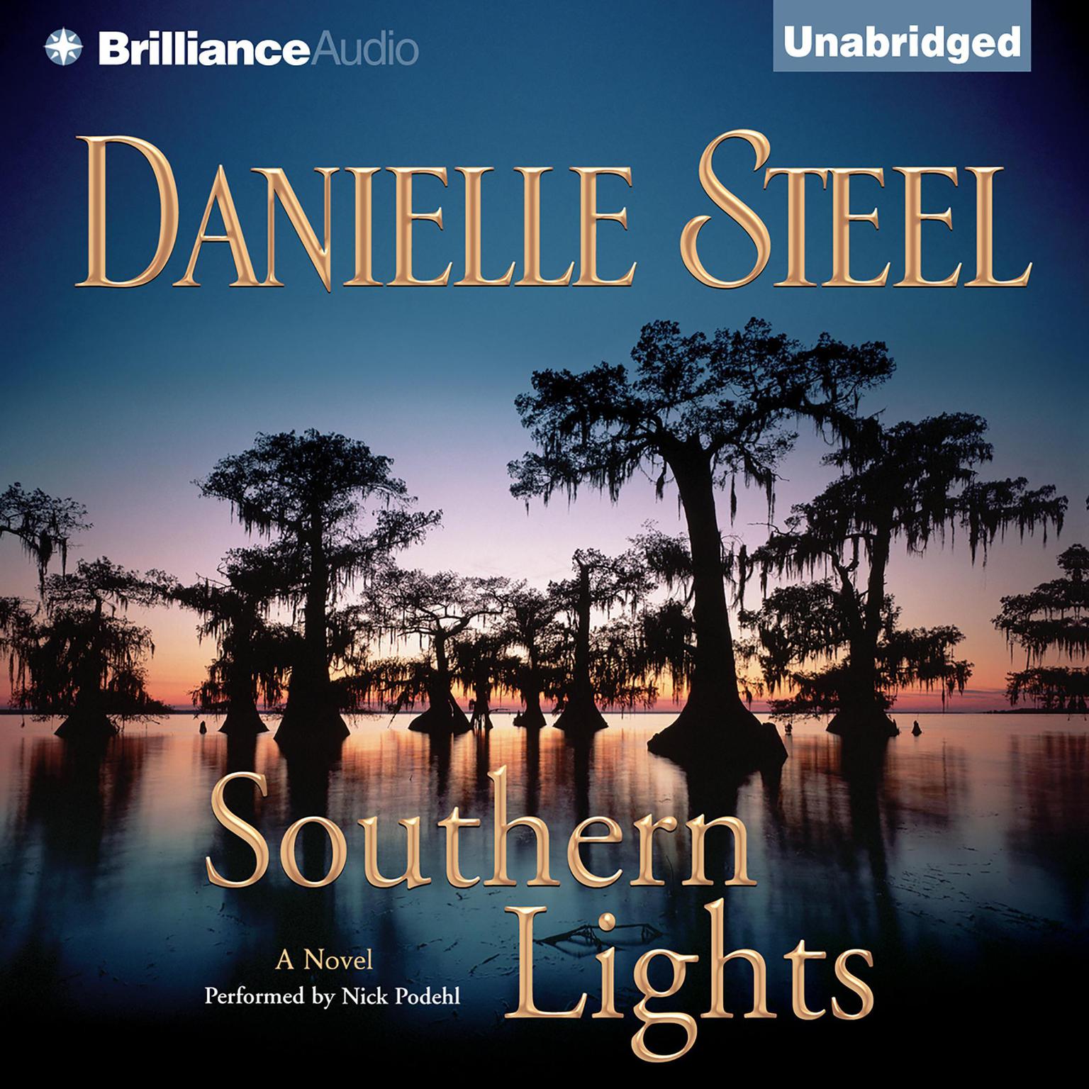 Southern Lights Audiobook, by Danielle Steel