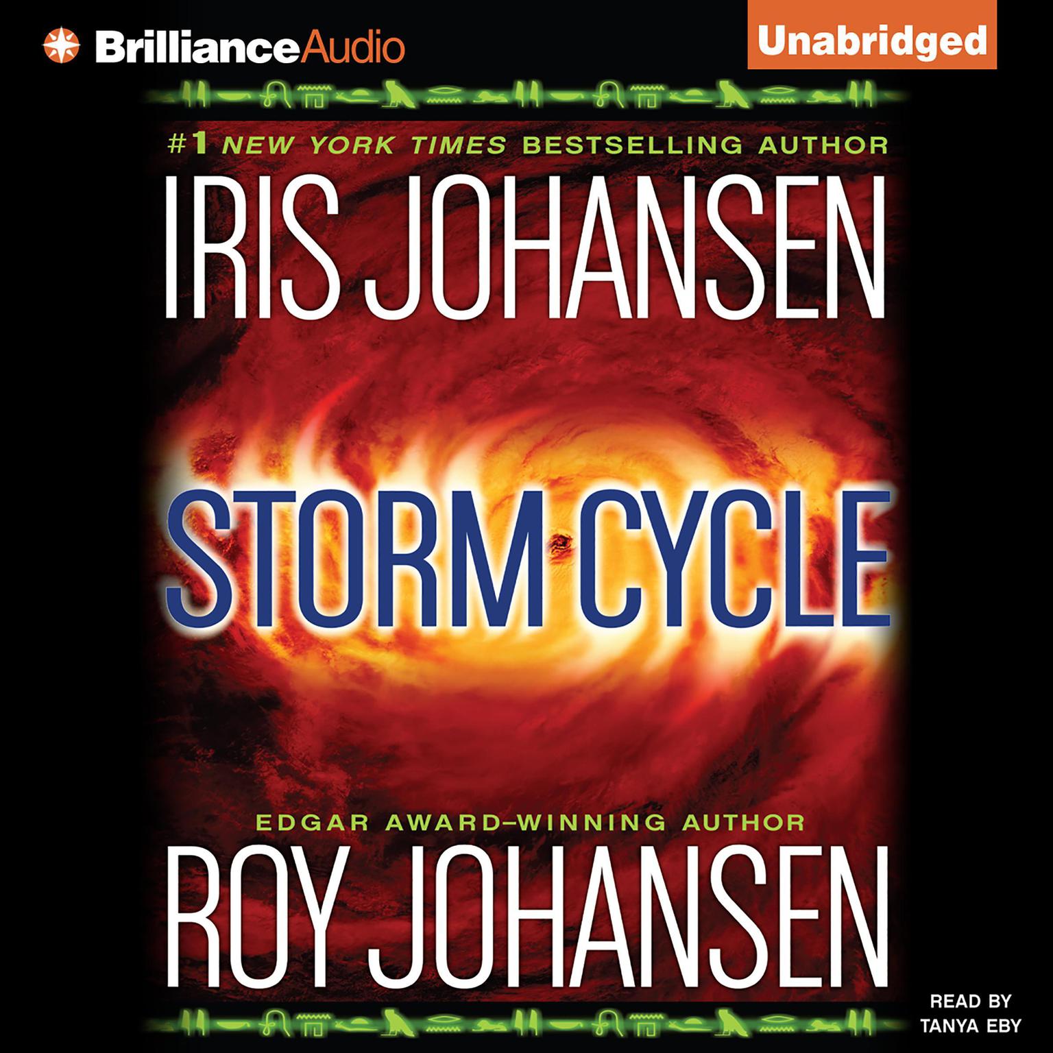 Storm Cycle Audiobook, by Iris Johansen