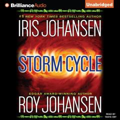 Storm Cycle Audiobook, by 