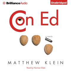 Con Ed: A Novel Audiobook, by Matthew Klein