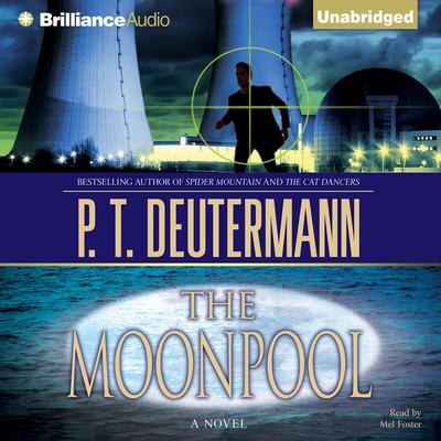 The Moonpool Audiobook, by P. T. Deutermann