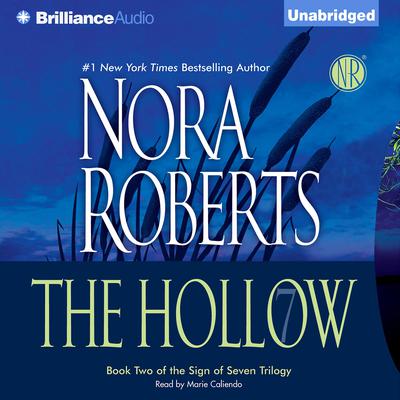 The Hollow Audiobook, by 