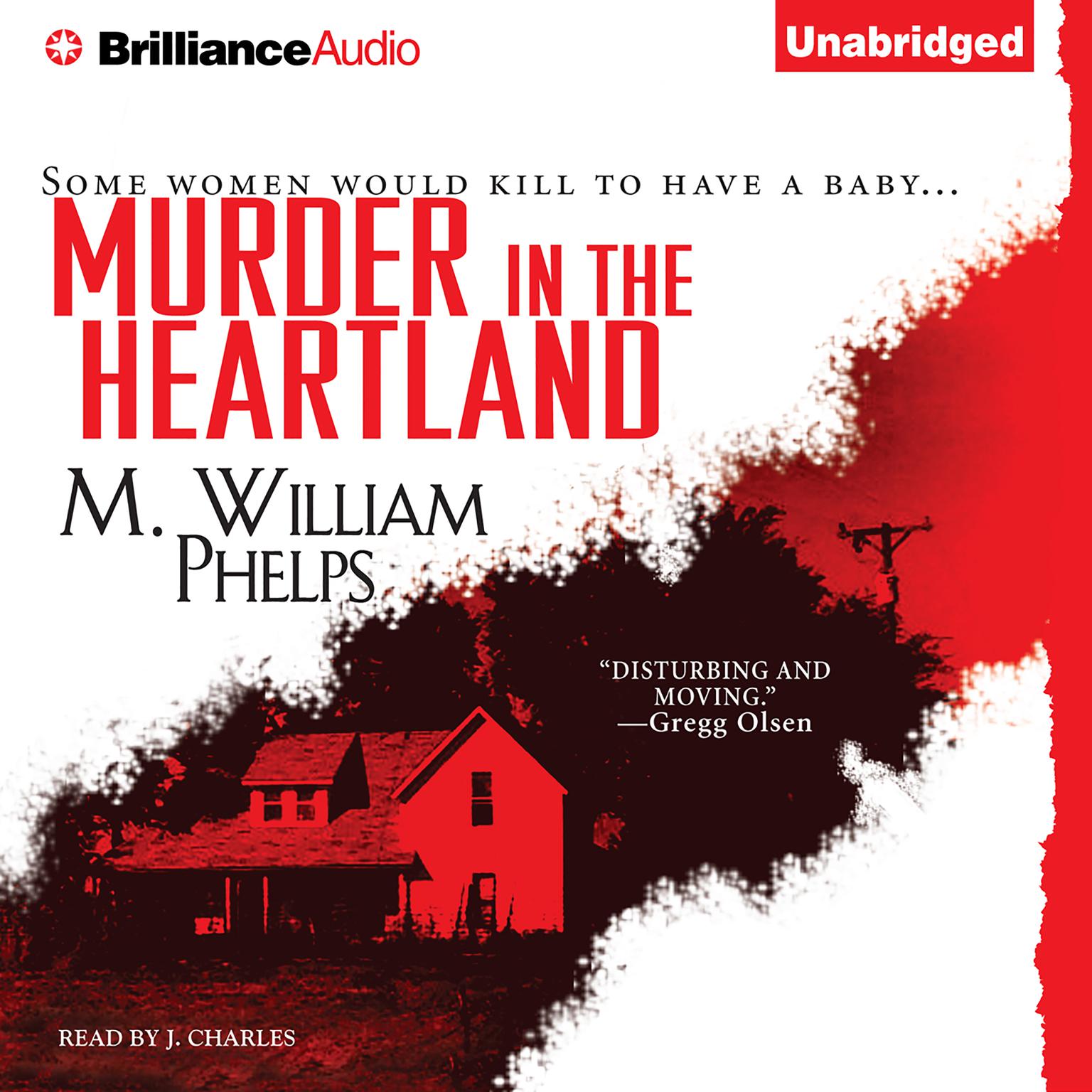 Murder in the Heartland Audiobook, by M. William Phelps