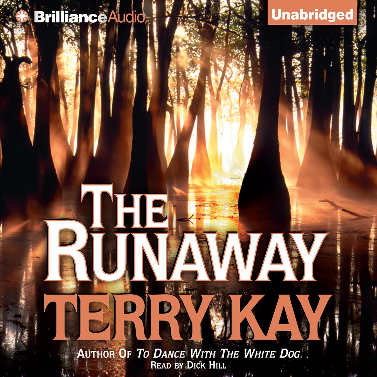 The Runaway Audiobook, by Terry Kay