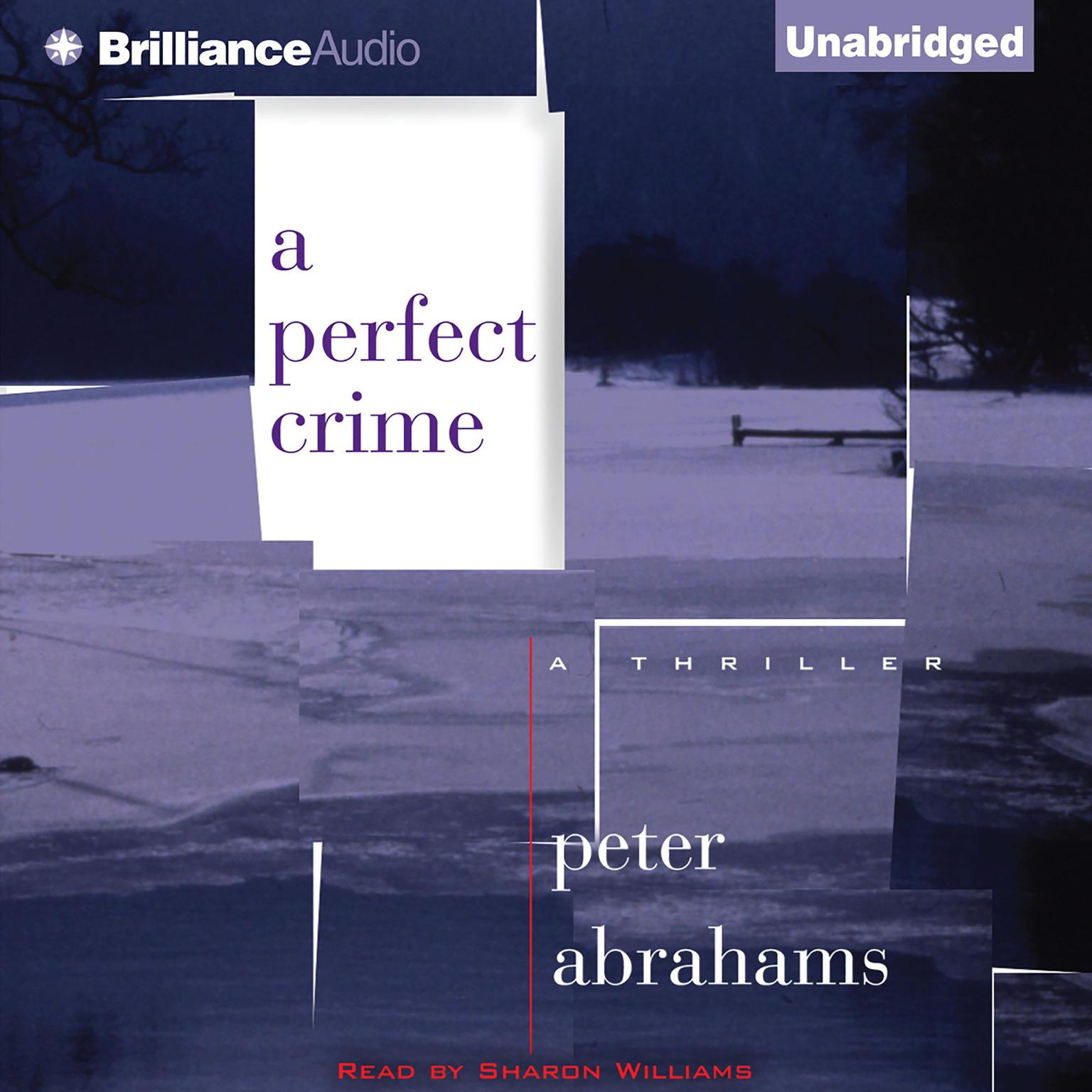A Perfect Crime Audiobook, by Peter Abrahams