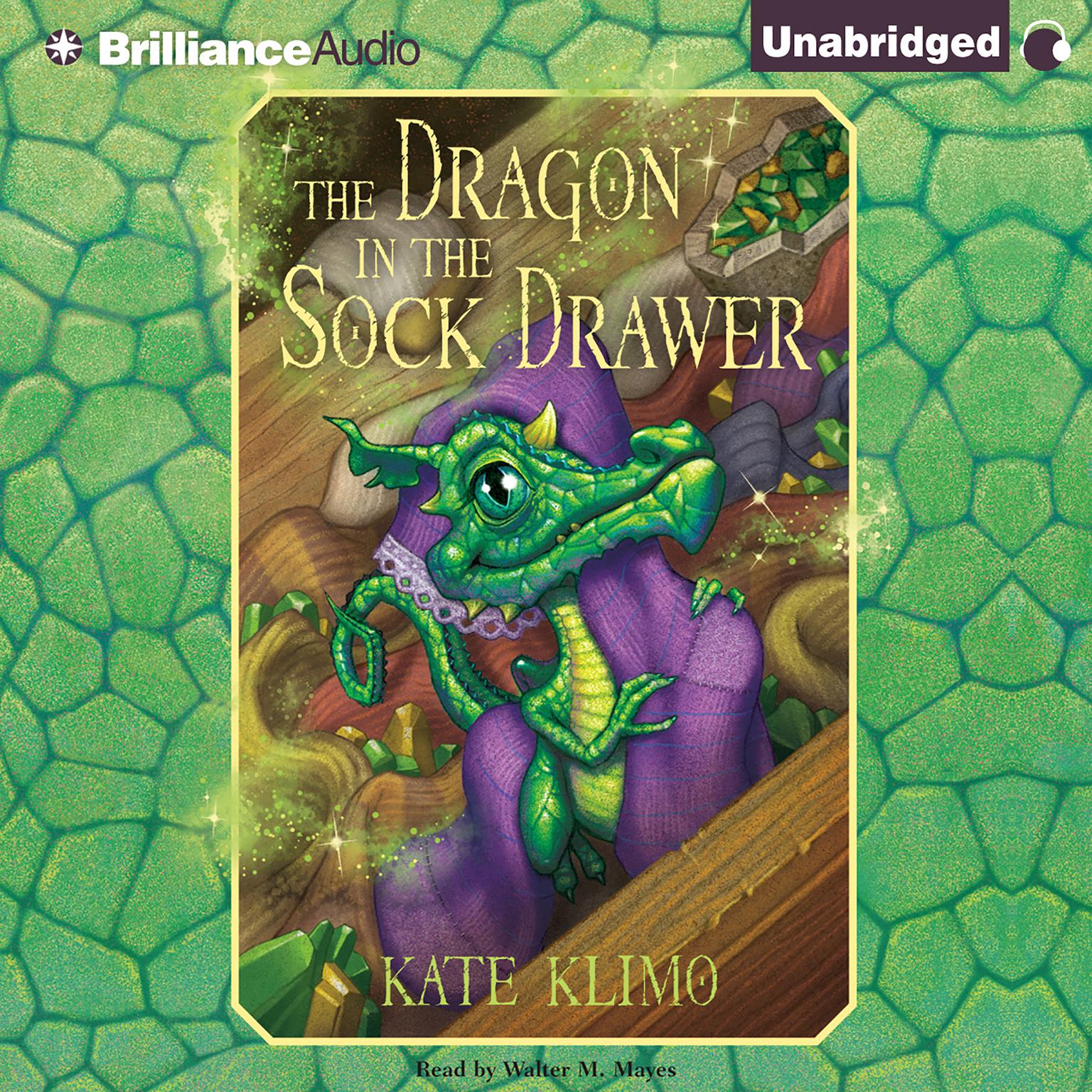 The Dragon in the Sock Drawer Audiobook, by Kate Klimo
