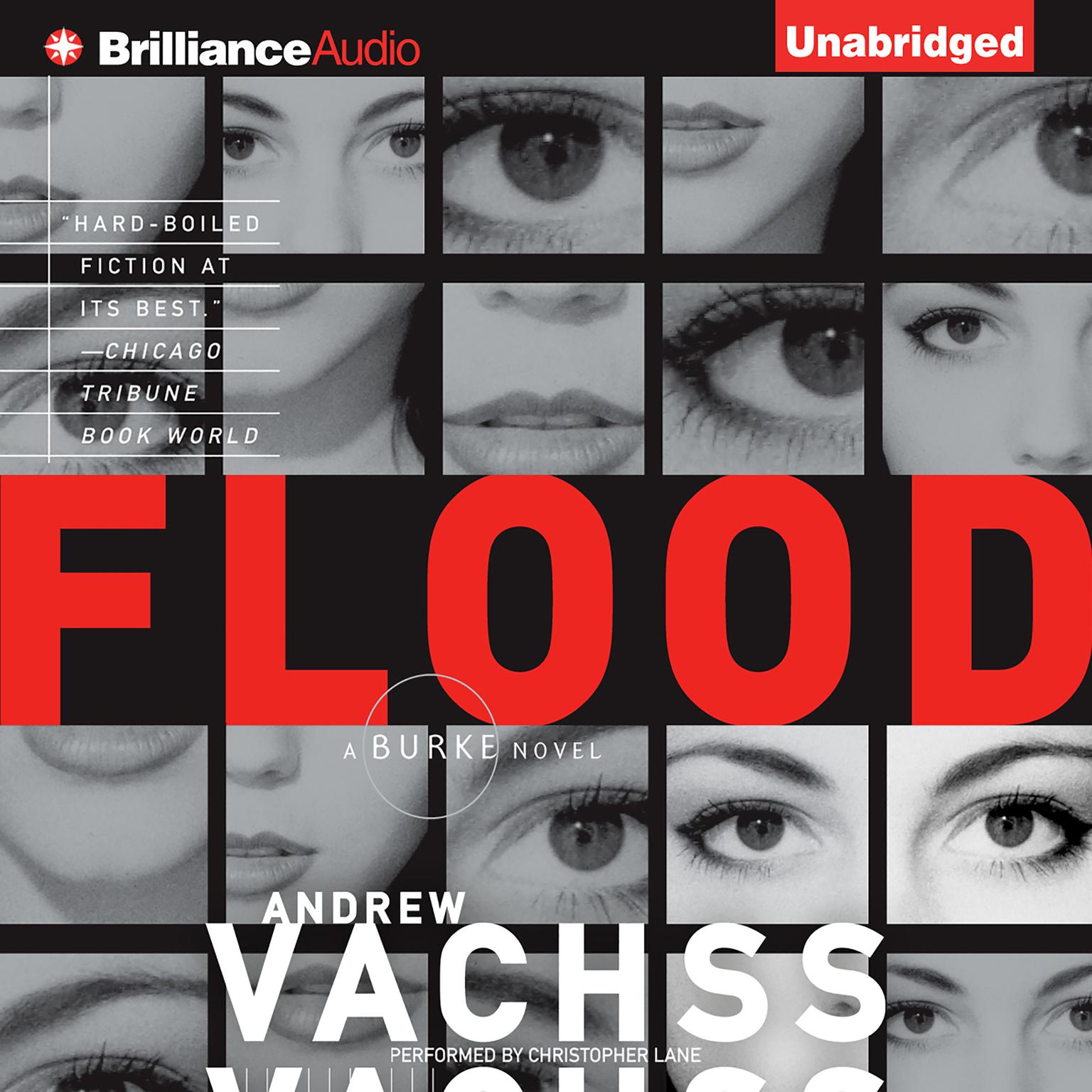 Flood: A Novel Audiobook, by Andrew Vachss