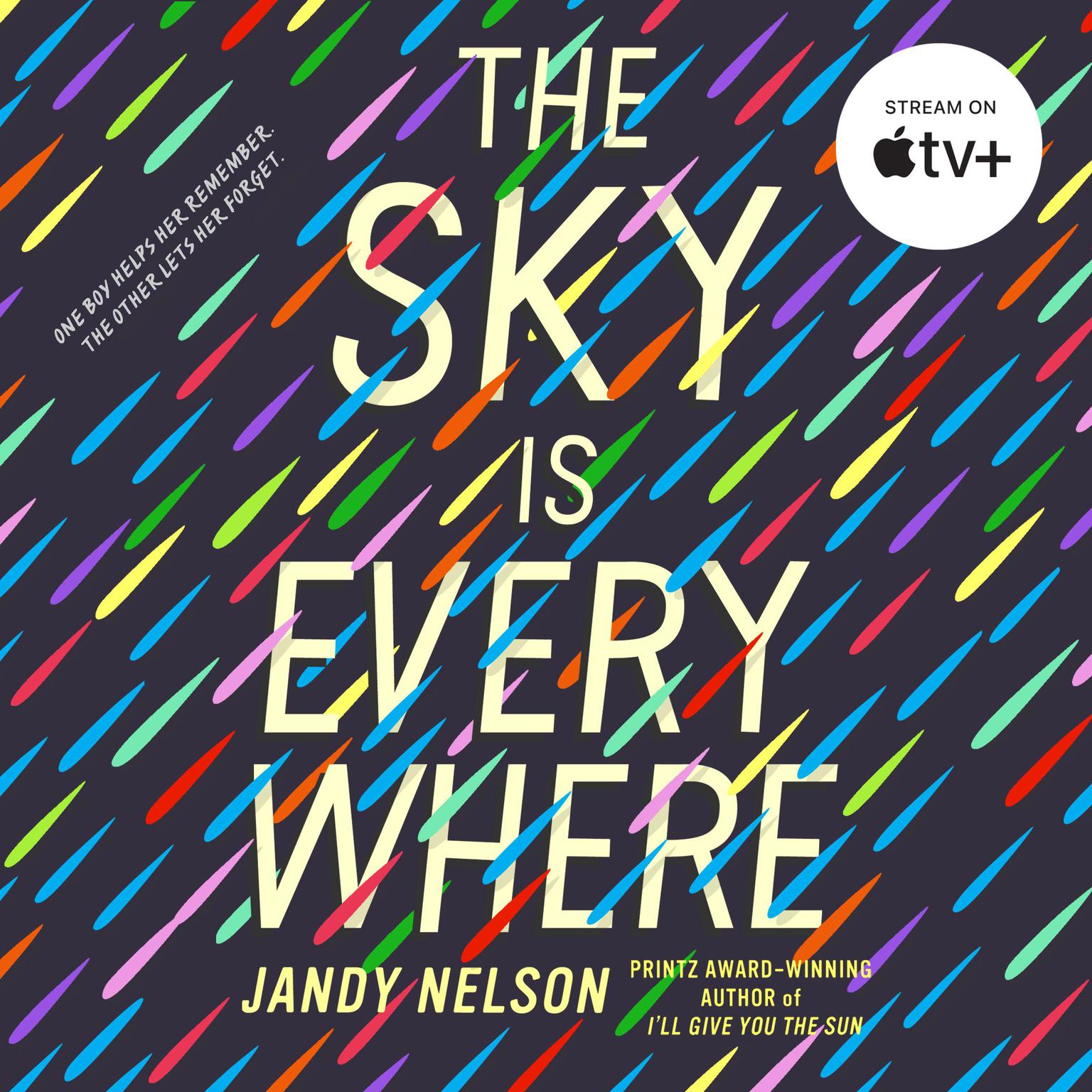 The Sky is Everywhere Audiobook, by Jandy Nelson