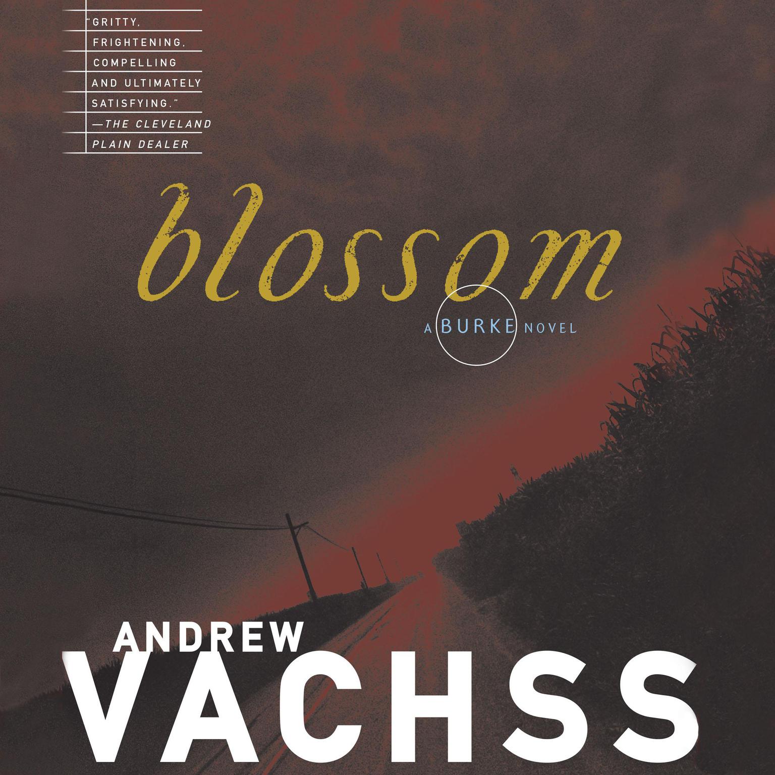 Blossom Audiobook, by Andrew Vachss
