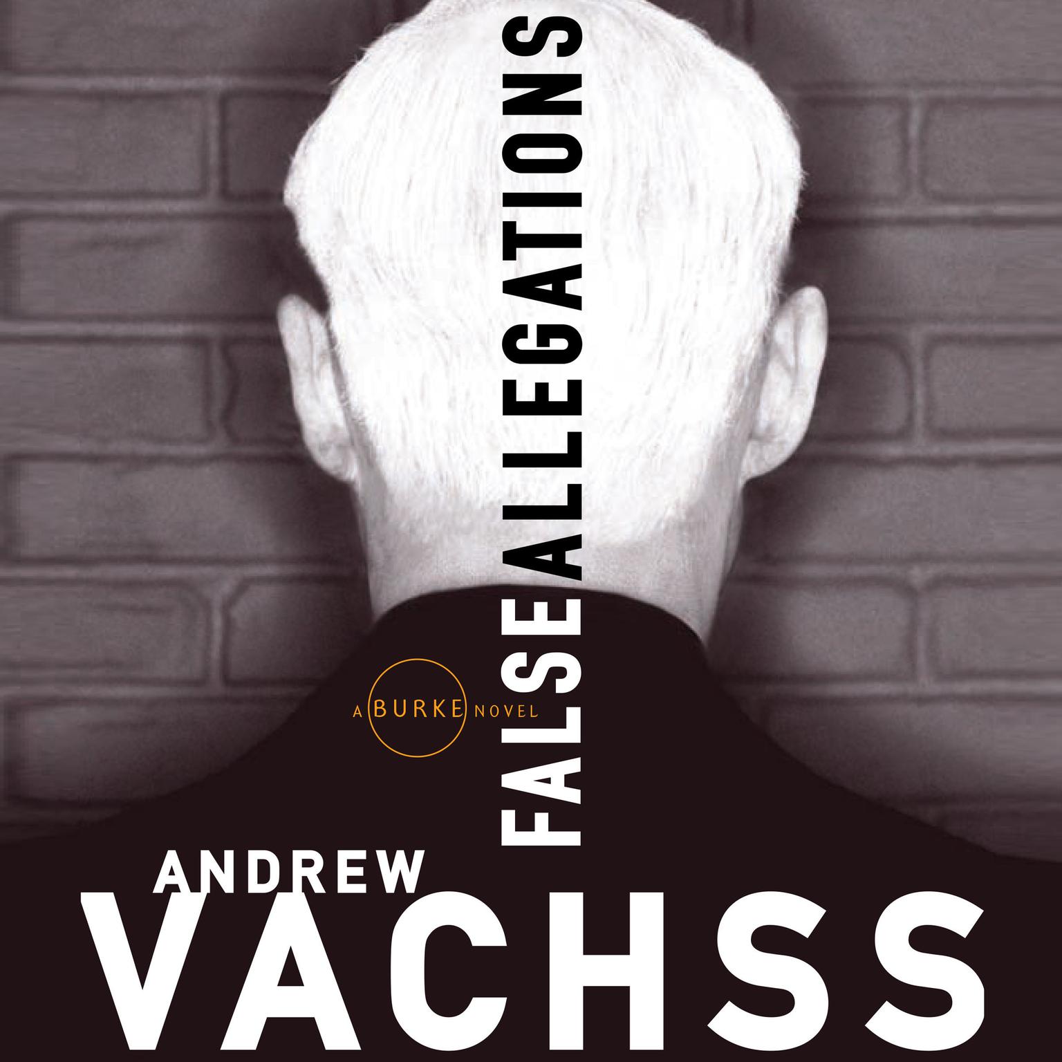 False Allegations Audiobook, by Andrew Vachss