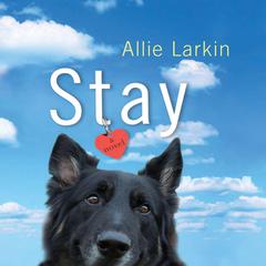 Stay: A Novel Audiobook, by Allie Larkin