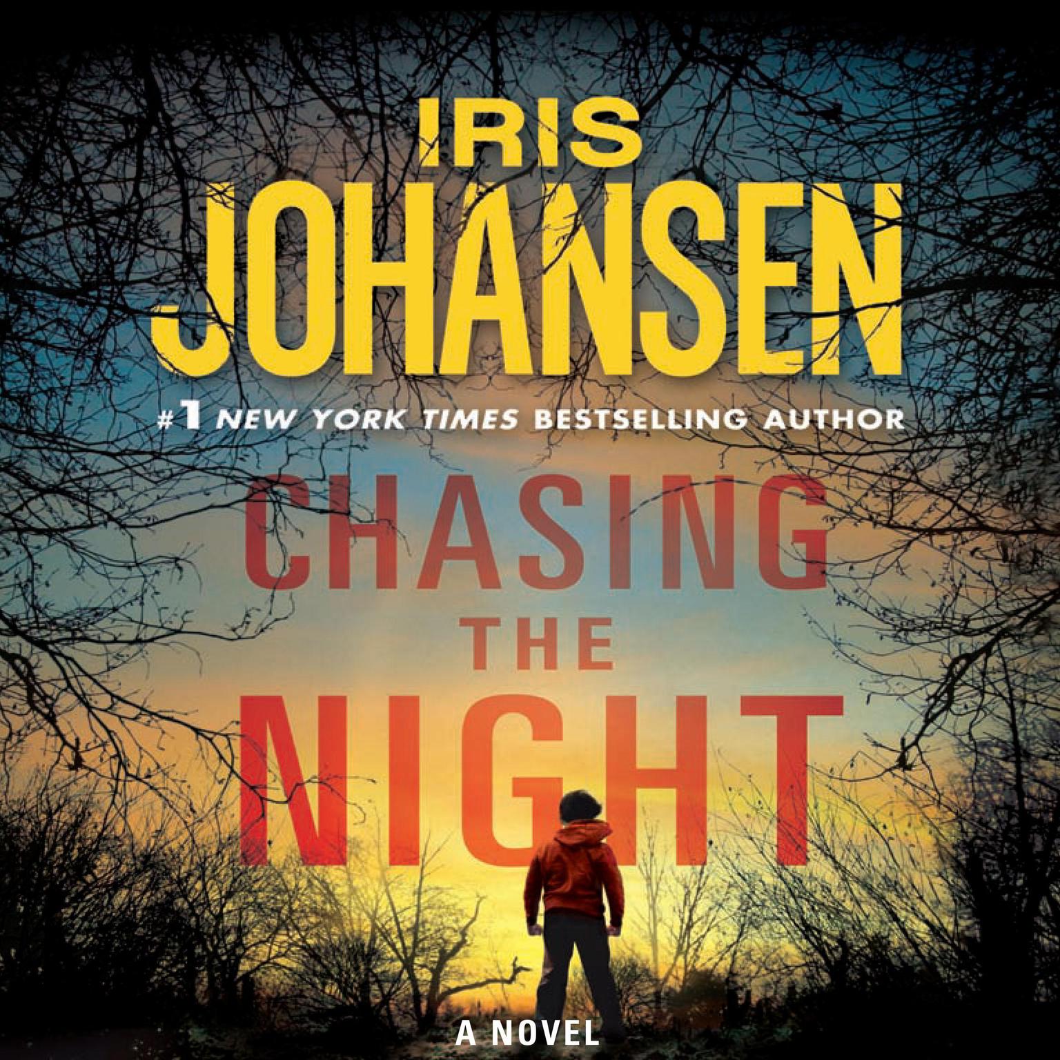 Chasing the Night (Abridged) Audiobook, by Iris Johansen