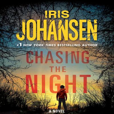 Chasing the Night Audiobook, by 