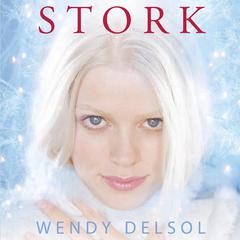 Stork Audiobook, by Wendy Delsol