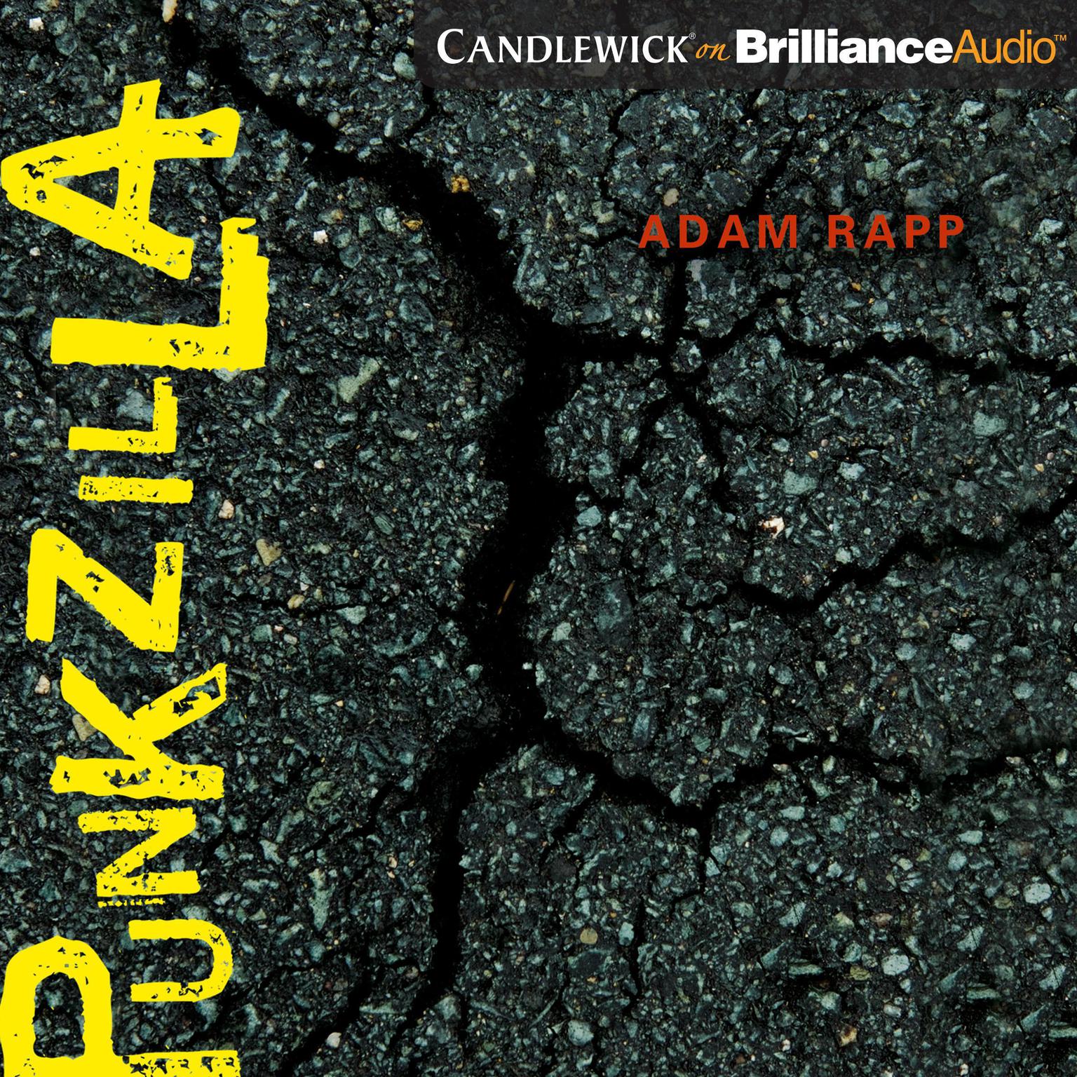 Punkzilla Audiobook, by Adam Rapp