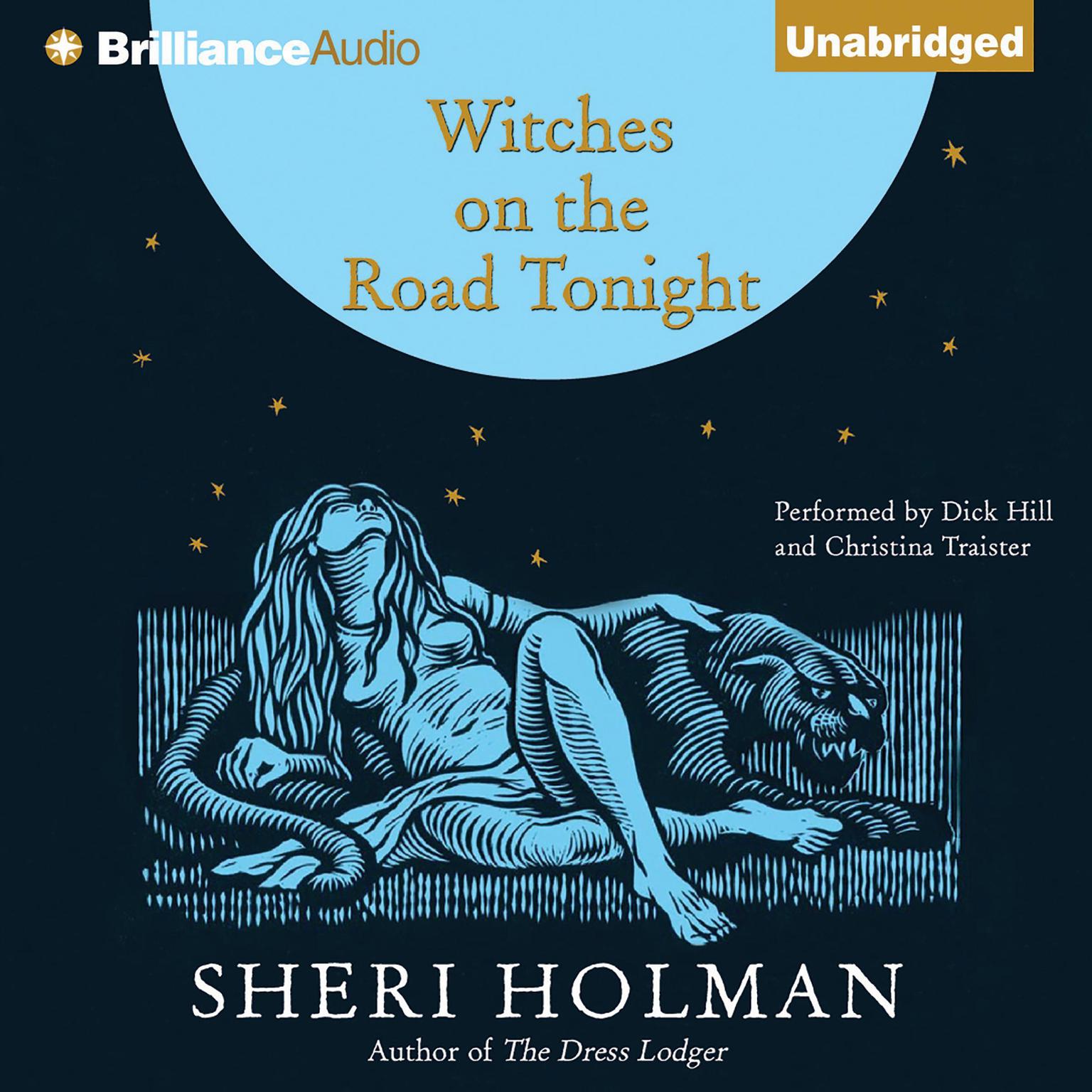 Witches on the Road Tonight Audiobook, by Sheri Holman
