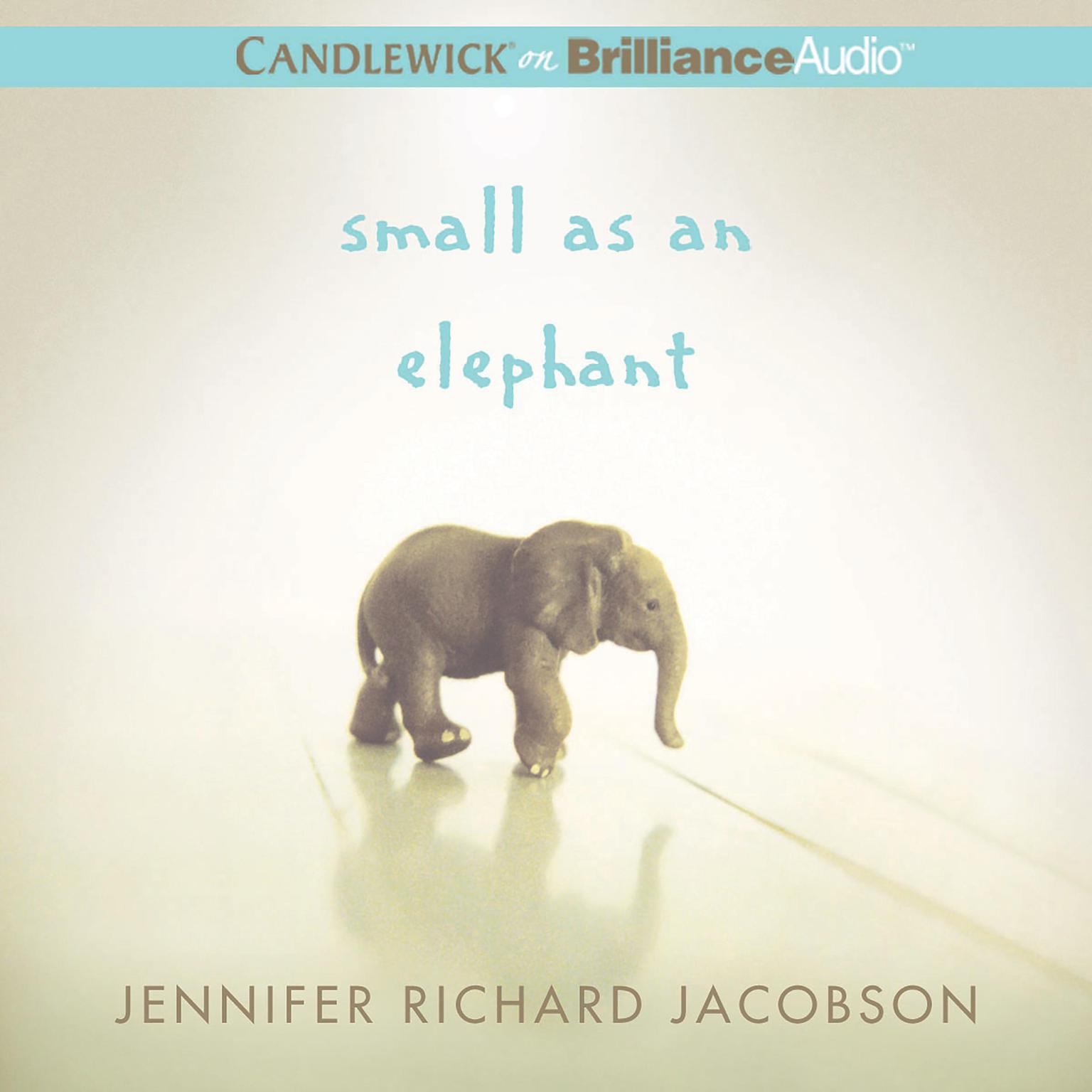 Small as an Elephant Audiobook, by Jennifer Richard Jacobson