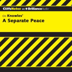 A Separate Peace Audiobook, by Charles Higgins