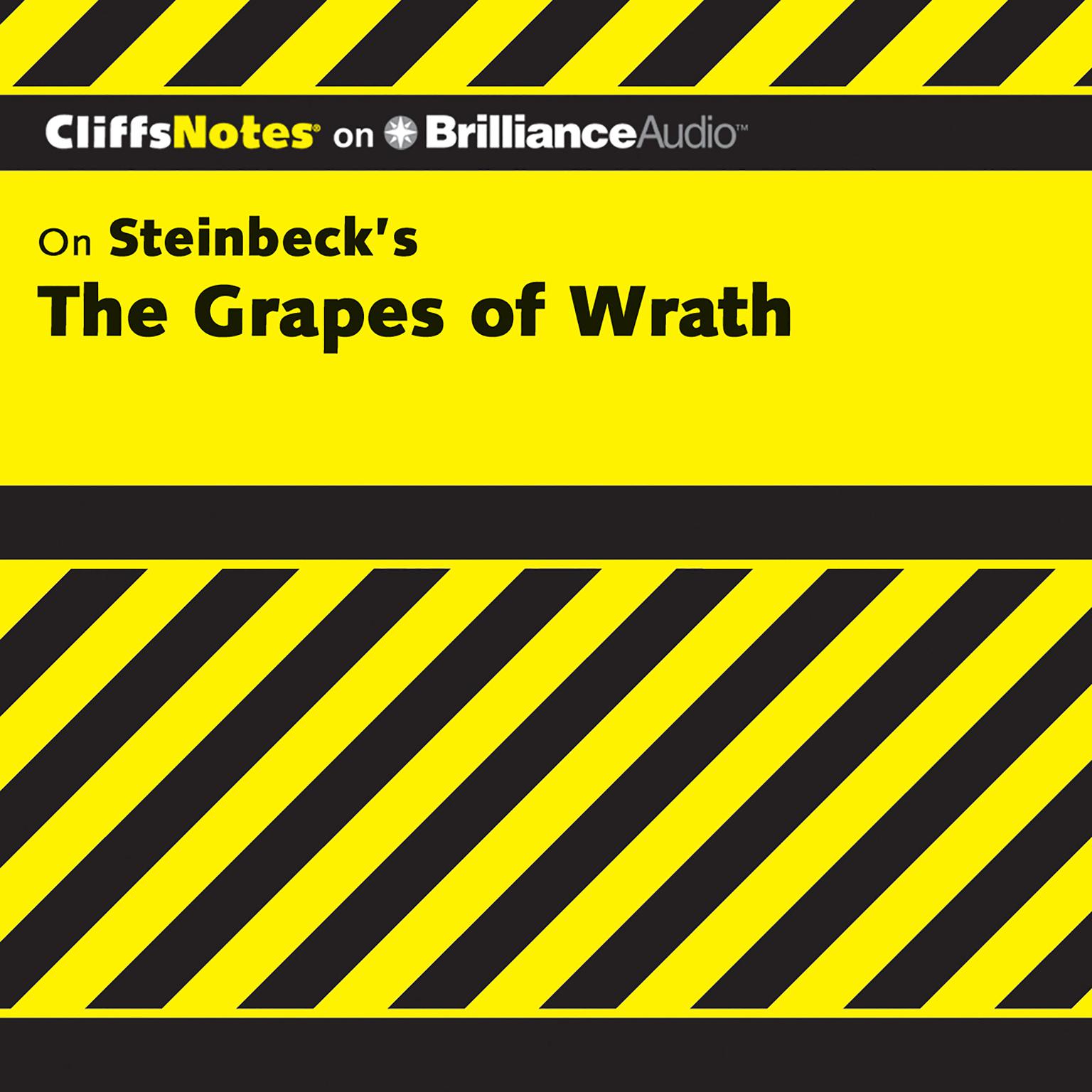 The Grapes of Wrath Audiobook, by Kelly McGrath Vlcek