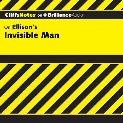 Invisible Man Audiobook, by Durthy A. Washington