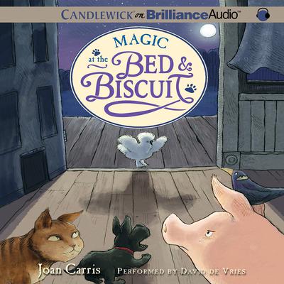 Magic at the Bed & Biscuit Audiobook, by Joan Carris