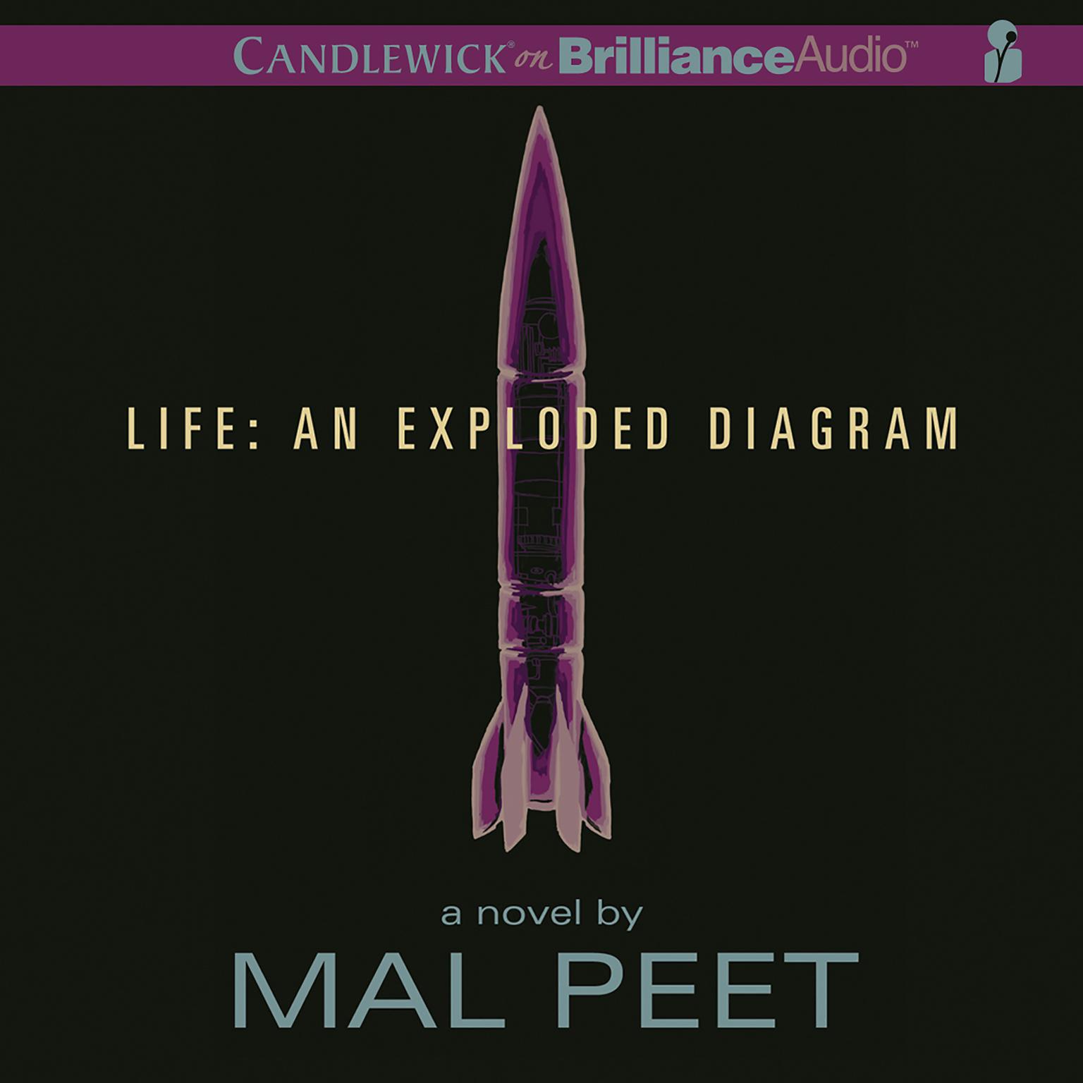 Life: An Exploded Diagram Audiobook, by Mal Peet