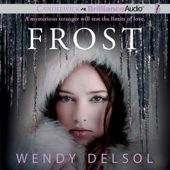 Frost Audiobook, by Wendy Delsol