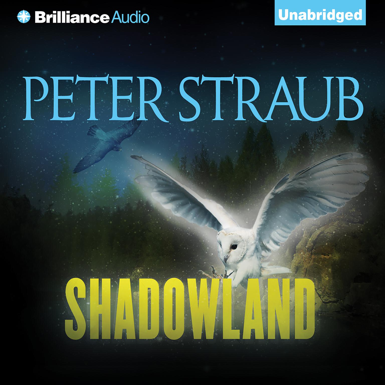 Shadowland Audiobook, by Peter Straub
