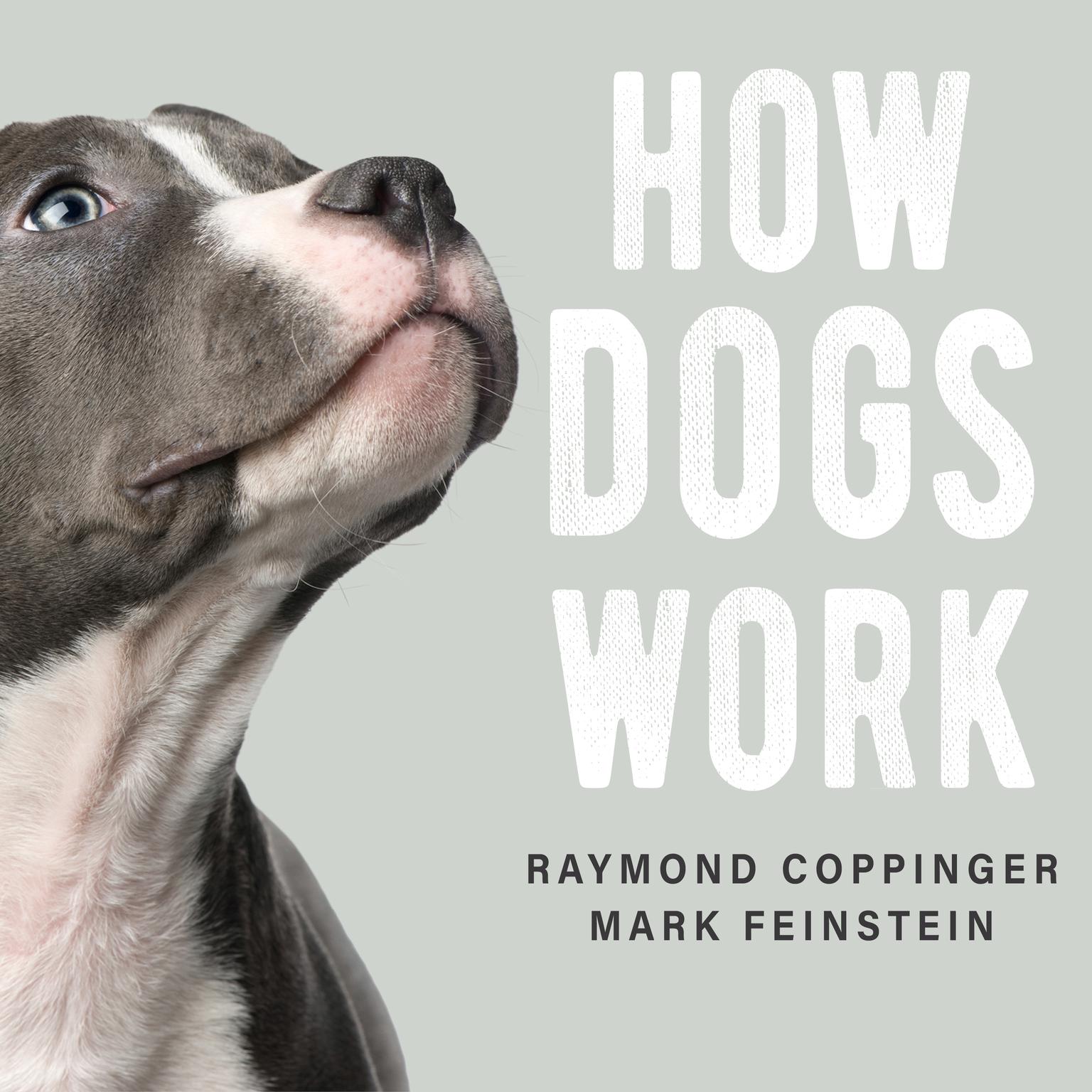 How Dogs Work Audiobook, by Raymond Coppinger