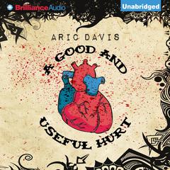 A Good and Useful Hurt Audiobook, by Aric Davis