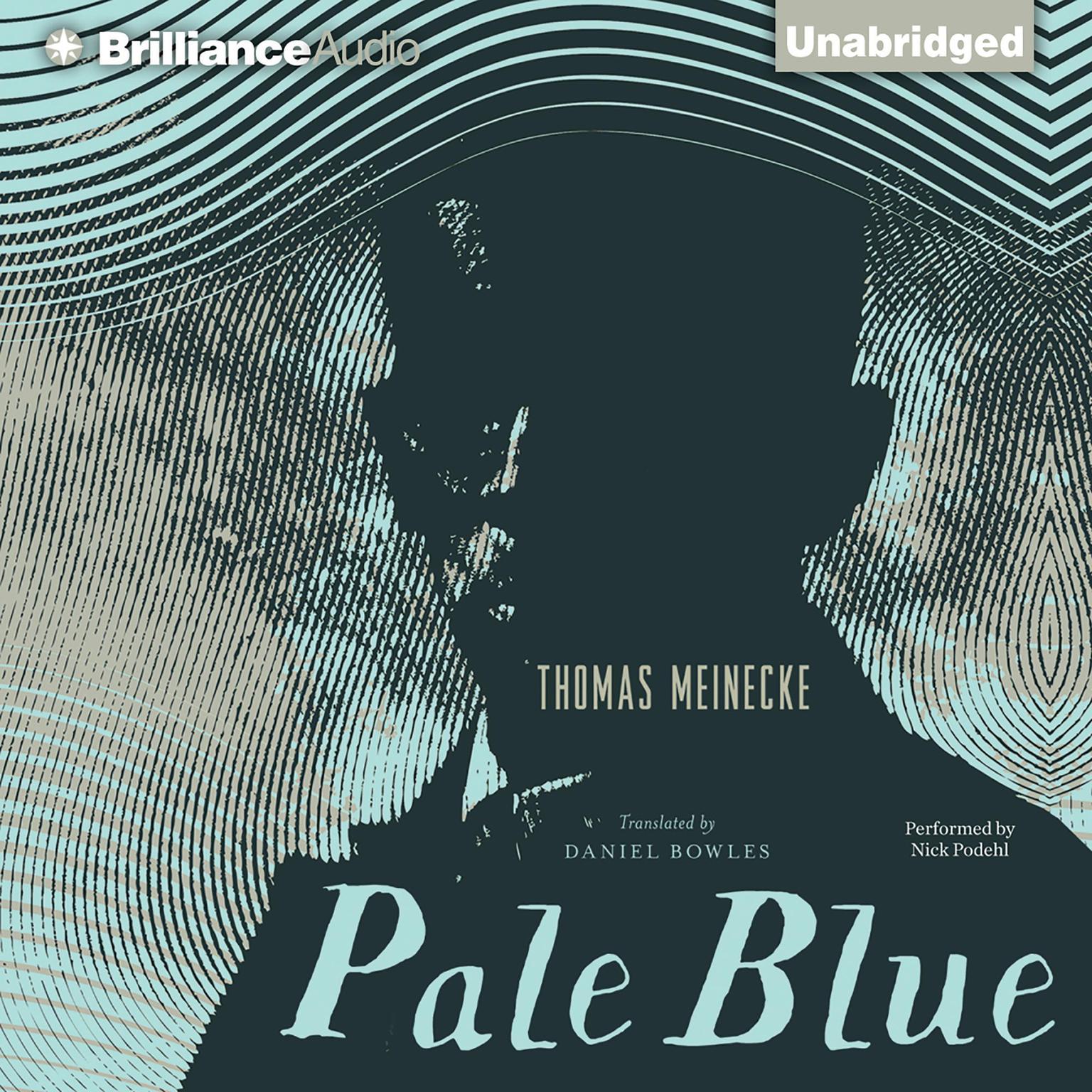 Pale Blue Audiobook, by Thomas Meinecke