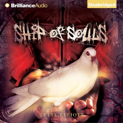Ship of Souls Audiobook, by Zetta Elliott