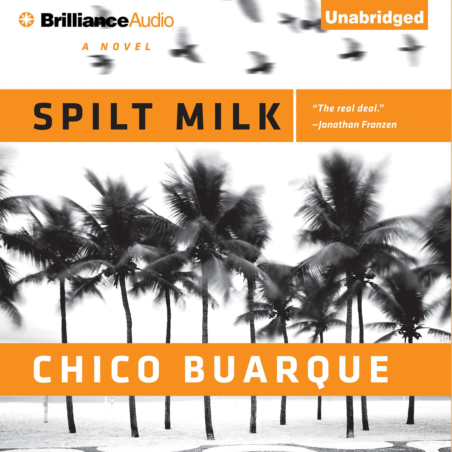 Spilt Milk Audiobook, by Chico Buarque