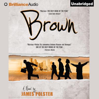 Brown Audiobook, by James Polster