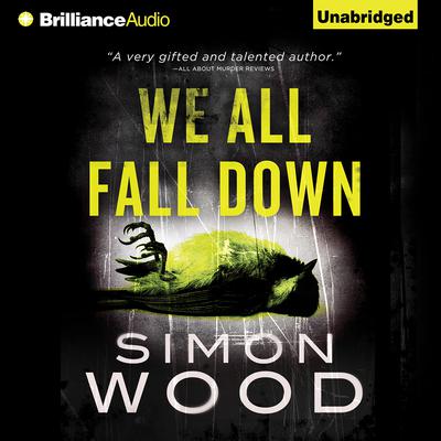 We All Fall Down Audiobook, by Simon Wood
