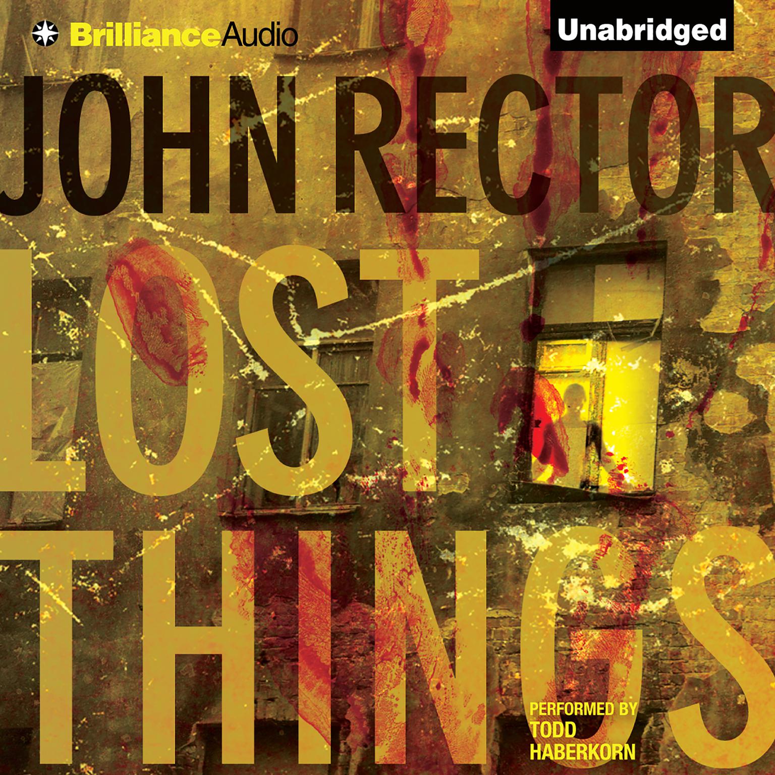 Lost Things Audiobook, by John Rector