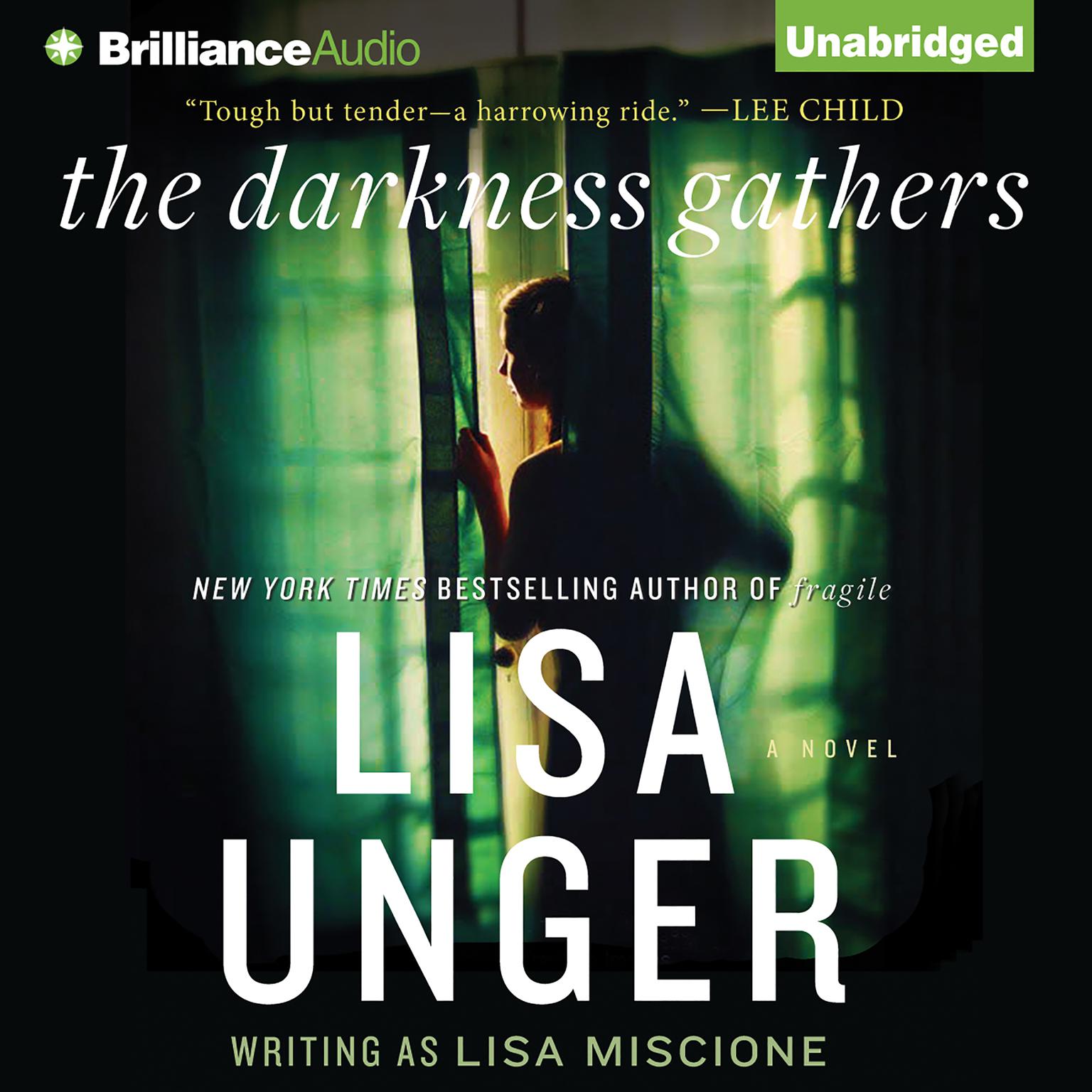 The Darkness Gathers: A Novel Audiobook, by Lisa Unger