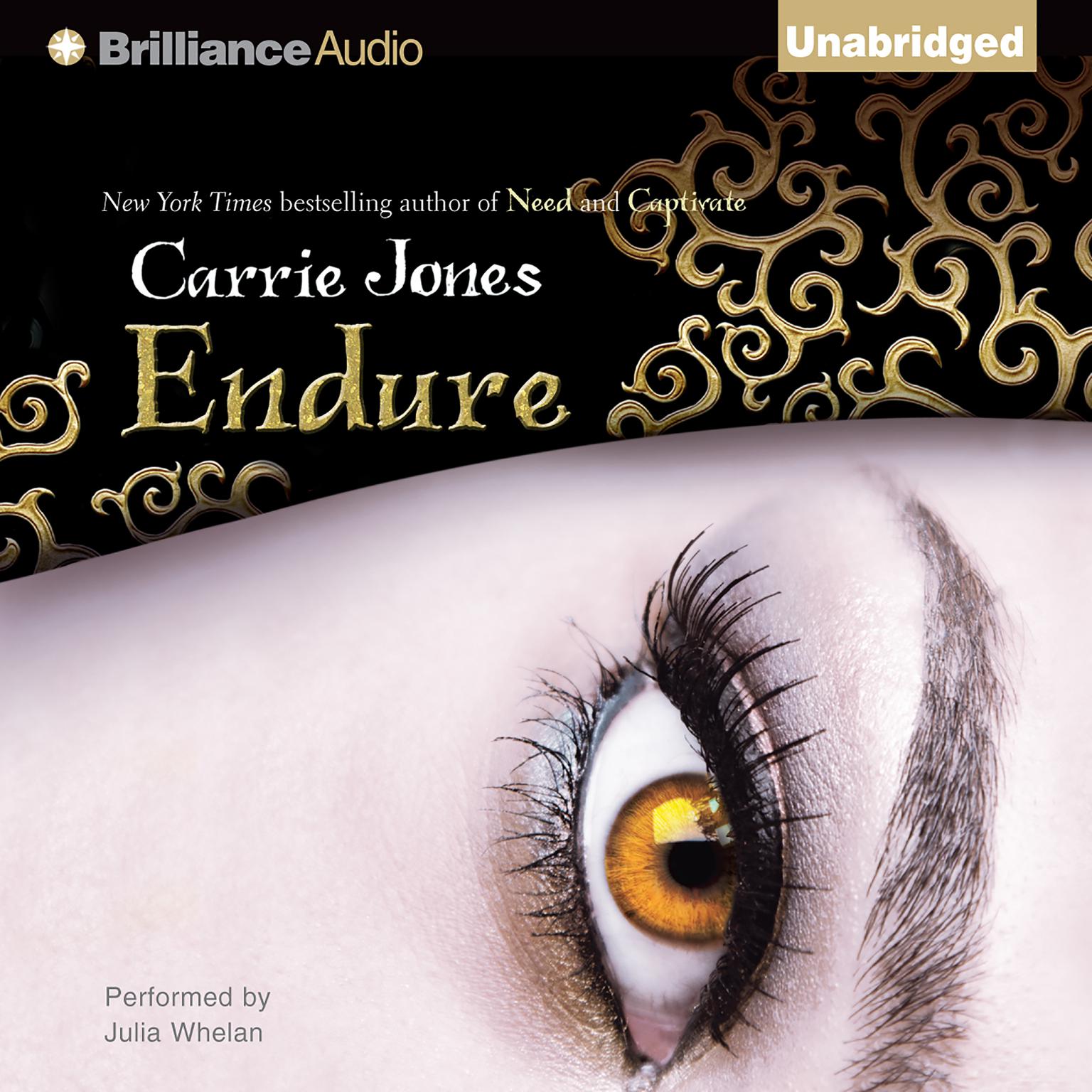 Endure Audiobook, by Carrie Jones