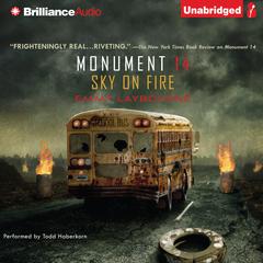 Sky on Fire Audiobook, by Emmy Laybourne