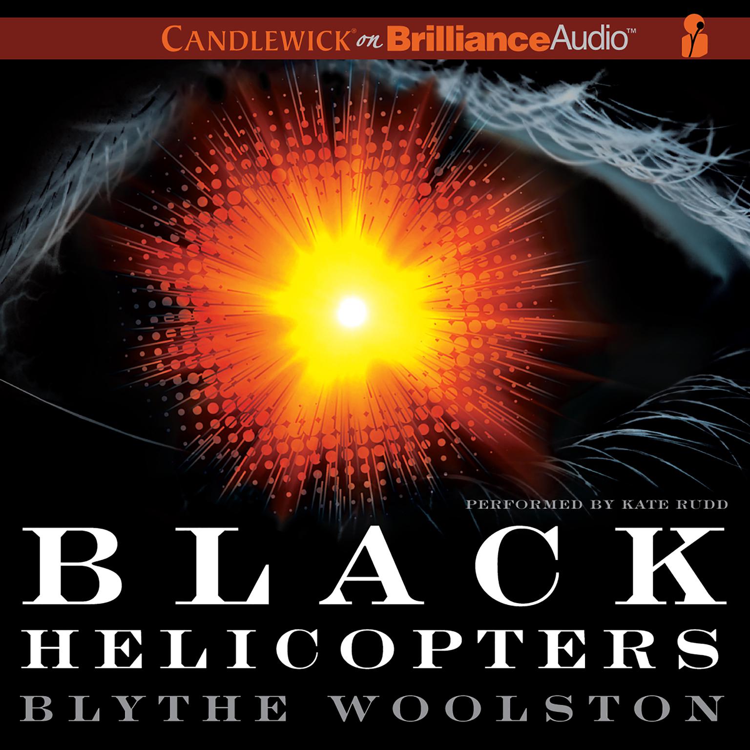 Black Helicopters Audiobook, by Blythe Woolston