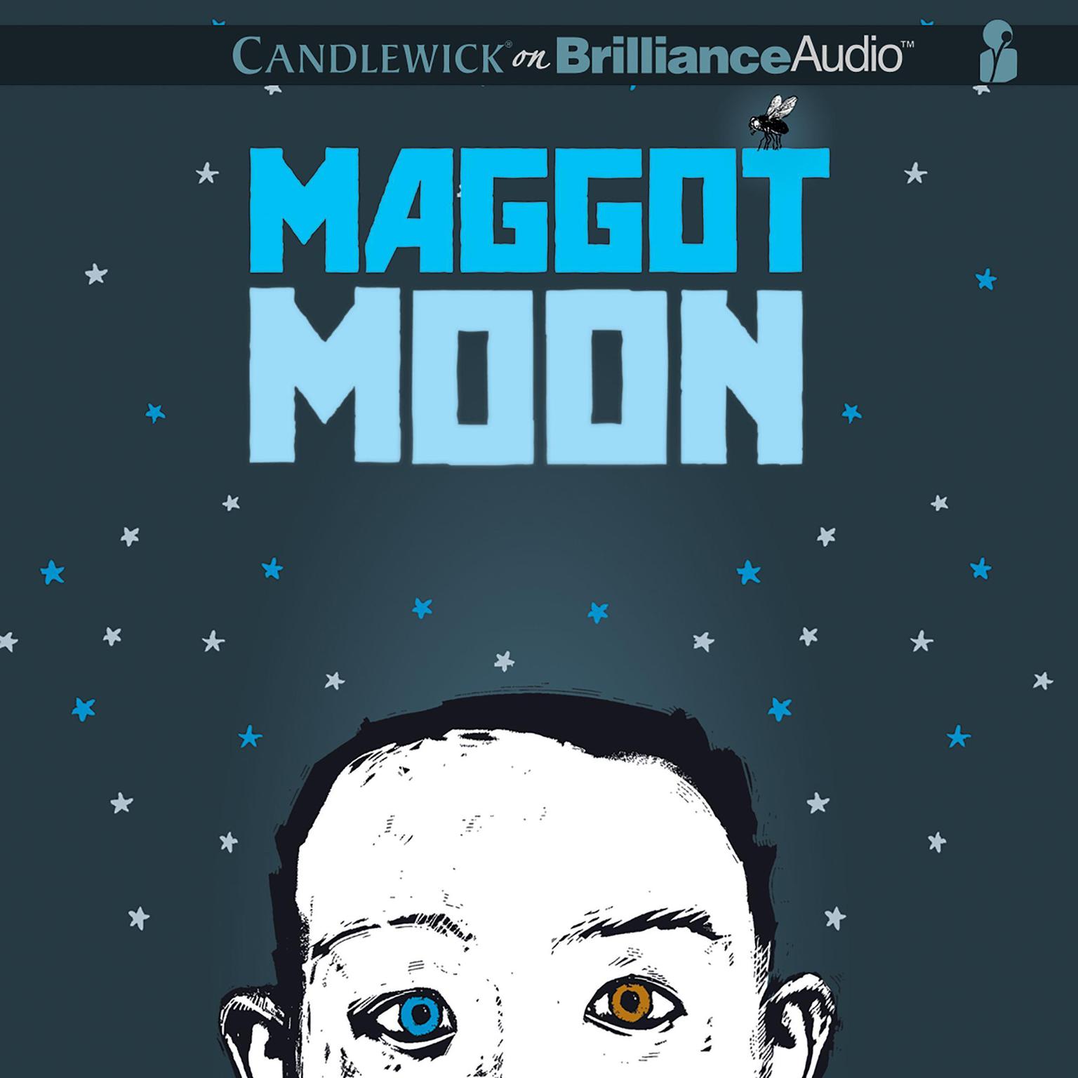 Maggot Moon Audiobook, by Sally Gardner