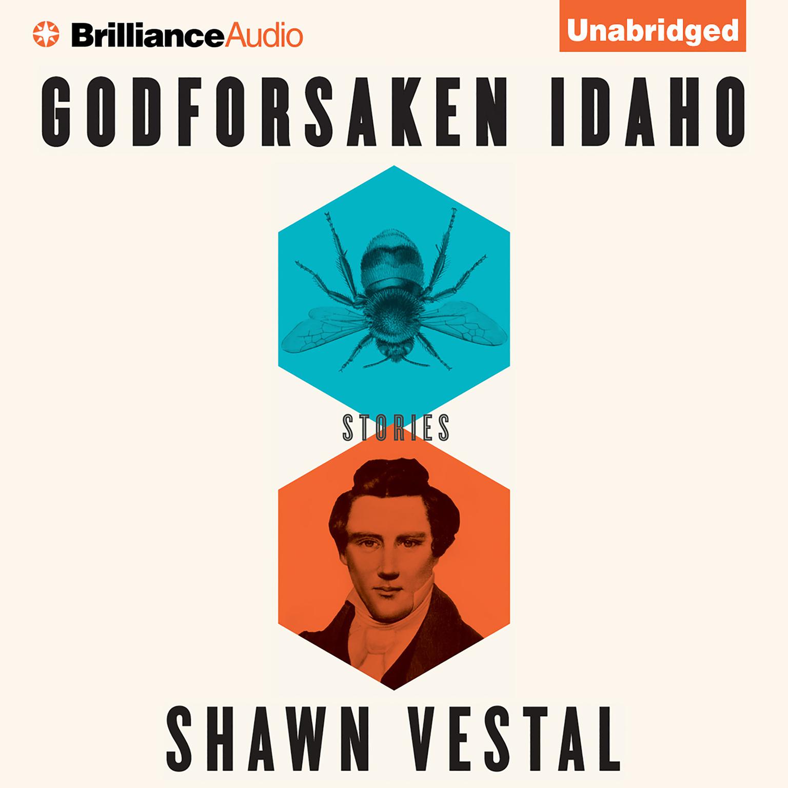 Godforsaken Idaho: Stories Audiobook, by Shawn Vestal